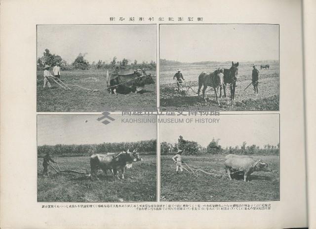 登錄號:KH2003.008.0176藏品圖，第24張