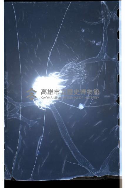 登錄號:KH2002.012.0221藏品圖，第24張