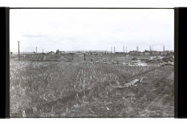 登錄號:KH2002.007.0324藏品圖，第24張