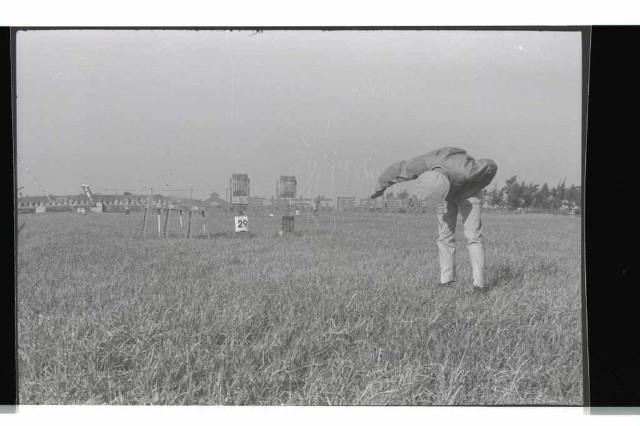 登錄號:KH2002.015.0082藏品圖，第24張