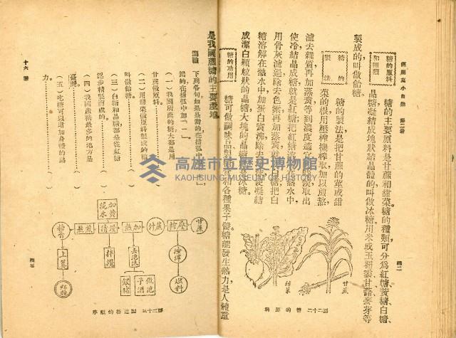 《高級小學 自然課本 第二冊》藏品圖，第26張