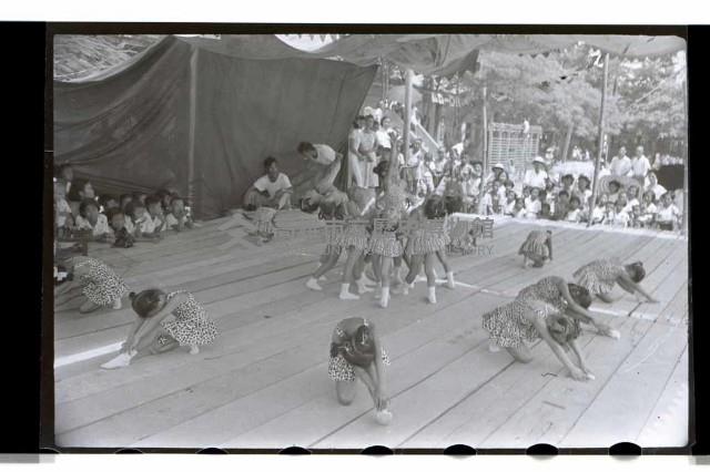 登錄號:KH2002.007.0039藏品圖，第24張