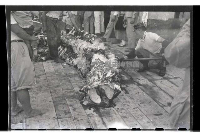 登錄號:KH2002.012.0003藏品圖，第24張