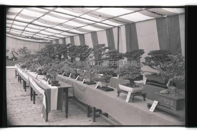 登錄號:KH2002.012.0343藏品圖，第24張