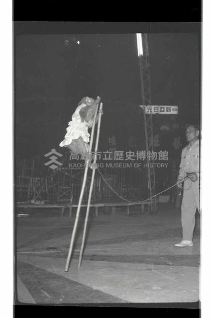 登錄號:KH2002.017.0161藏品圖，第64張