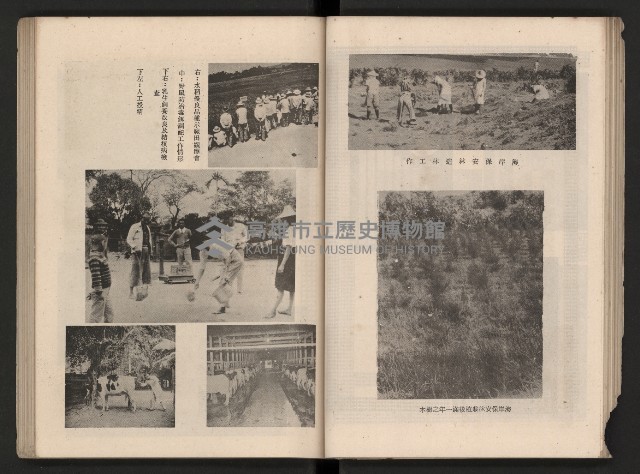 《高雄市政三年》藏品圖，第65張