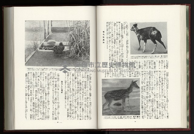 《日本地理風俗大系-  第十五卷 臺灣篇》藏品圖，第44張