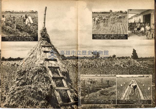 《南方の據點・臺灣寫真報道》藏品圖，第46張