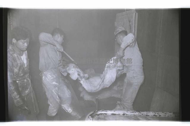 登錄號:KH2002.016.0075藏品圖，第44張