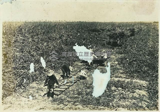 登錄號:KH2003.008.0179藏品圖，第44張