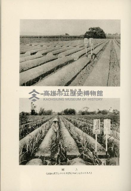 登錄號:KH2003.008.0178藏品圖，第475張