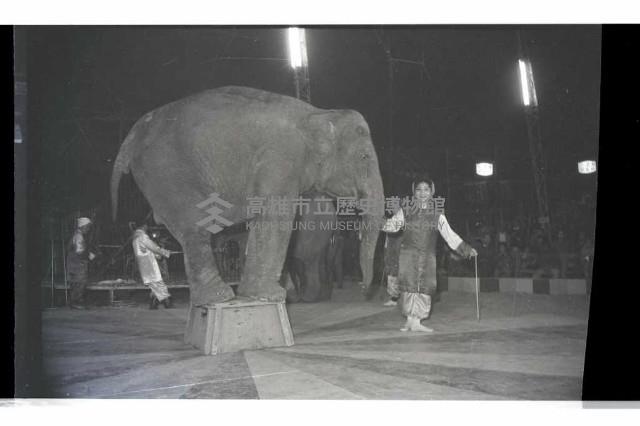 登錄號:KH2002.017.0161藏品圖，第74張