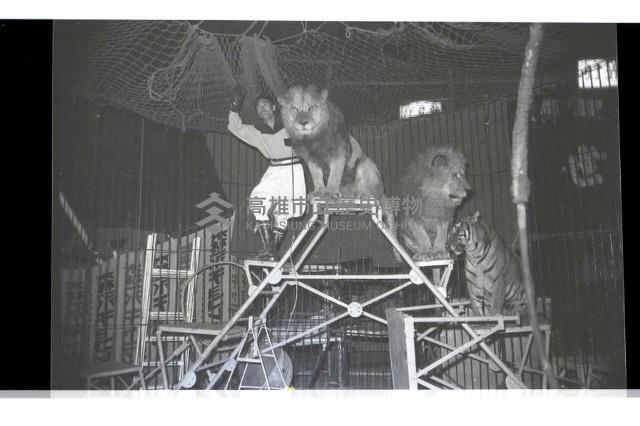 登錄號:KH2002.017.0161藏品圖，第54張