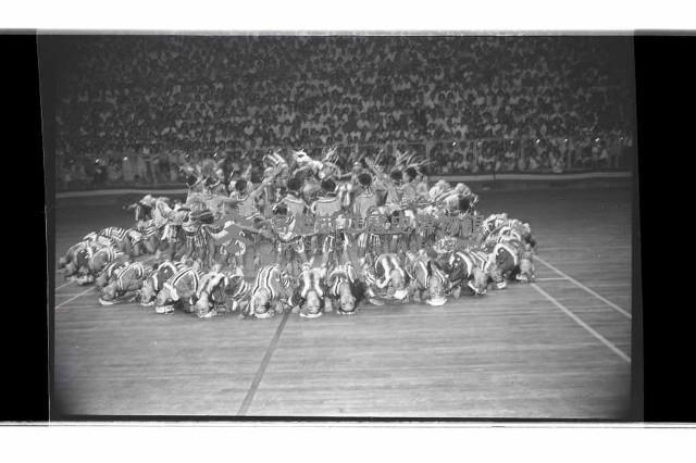 登錄號:KH2002.017.0221藏品圖，第54張