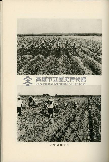 登錄號:KH2003.008.0178藏品圖，第415張