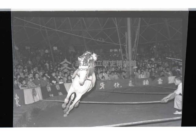 登錄號:KH2002.017.0010藏品圖，第14張