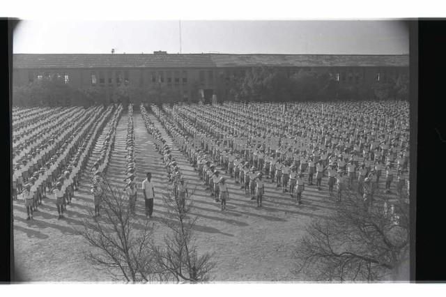 登錄號:KH2002.007.0266藏品圖，第14張