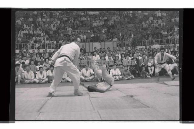 登錄號:KH2002.017.0291藏品圖，第14張