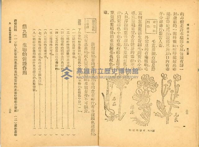 《高級小學 自然課本 第二冊》藏品圖，第16張