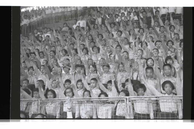 登錄號:KH2002.012.0695藏品圖，第14張