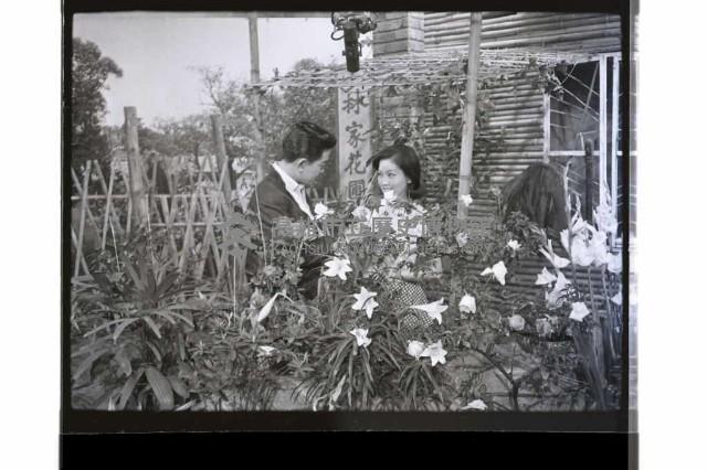 登錄號:KH2002.017.0235藏品圖，第14張