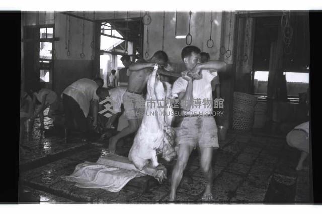 登錄號:KH2002.016.0075藏品圖，第14張