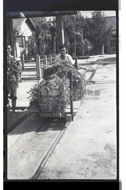 登錄號:KH2002.012.0069藏品圖，第14張