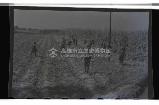 登錄號:KH2002.019.0013藏品圖，第14張