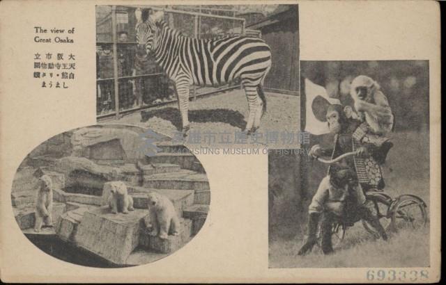 登錄號:KH2003.003.0083藏品圖，第14張