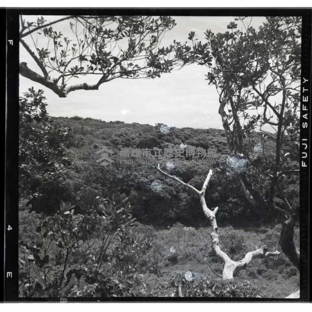 登錄號:KH2002.016.0050藏品圖，第4張