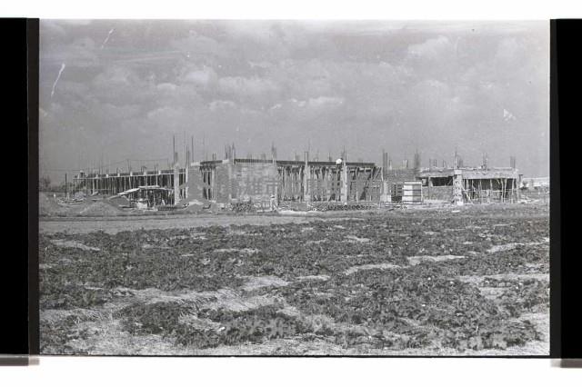 登錄號:KH2002.007.0336藏品圖，第4張