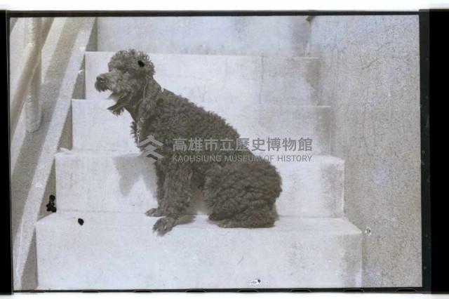 登錄號:KH2002.012.0241藏品圖，第4張