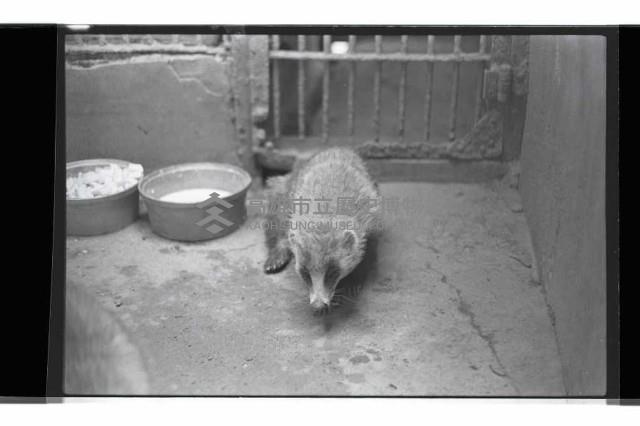 登錄號:KH2002.017.0247藏品圖，第4張