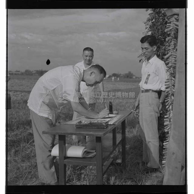 登錄號:KH2002.010.0005藏品圖，第4張