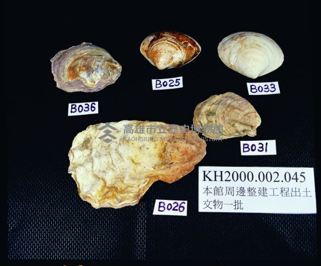 A047：花葉紋豆青瓷杯、A051：白瓷碗底足、A059：白瓷碗底足、A115：鶴紋印花青花碗圈足、A158：「高雄市役所」款瓷杯、A159：「高雄市役所」款瓷杯、A160：「高雄市役所」款瓷杯、A161：高雄市徽蝠紋青花瓷杯蓋、A162：高雄市徽蝠紋青花瓷杯蓋、A164：福壽款青花印花碗、A166：纏枝喜字紋青花碗藏品圖，第5張