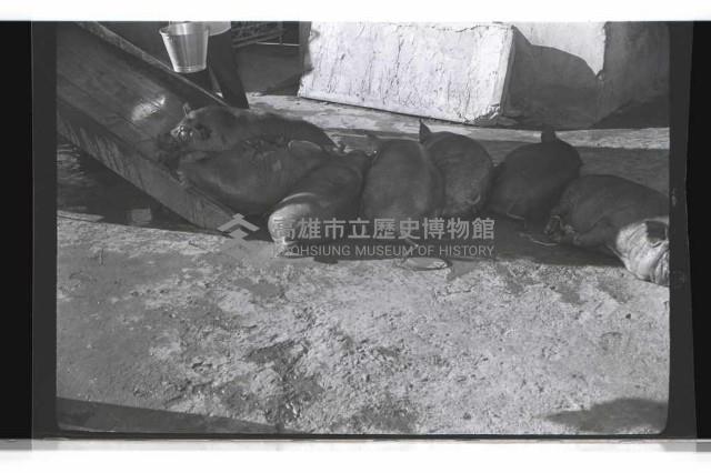 登錄號:KH2002.016.0075藏品圖，第4張