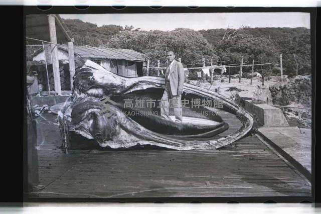 登錄號:KH2002.012.0153藏品圖，第4張