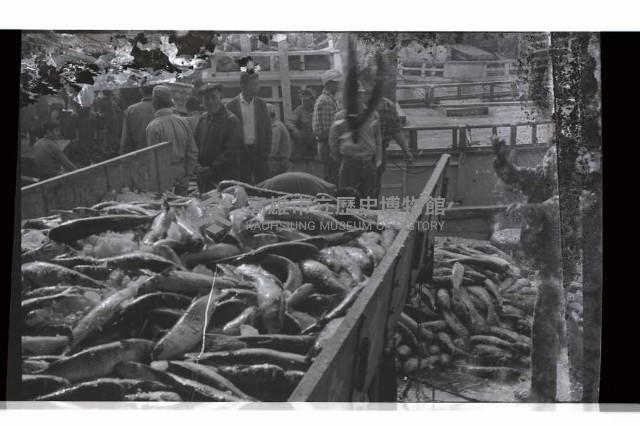 登錄號:KH2002.012.0633藏品圖，第4張