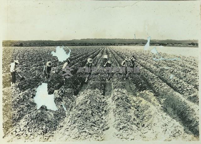 登錄號:KH2003.008.0179藏品圖，第34張