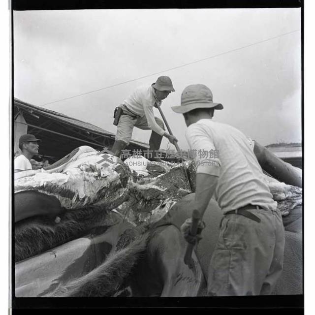 登錄號:KH2002.012.0003藏品圖，第34張