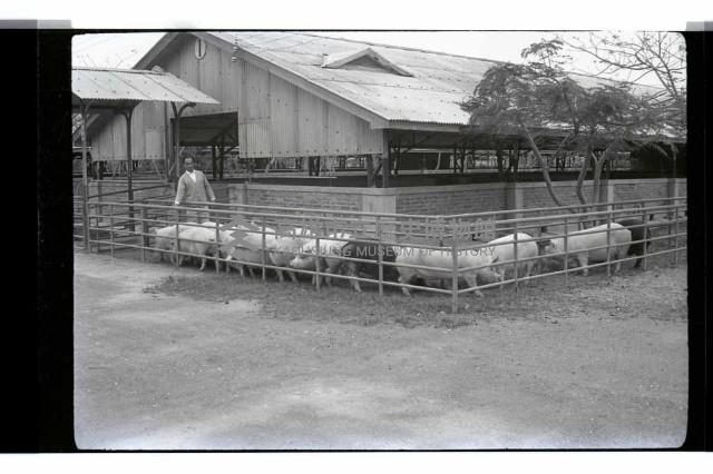 登錄號:KH2002.016.0074藏品圖，第29張