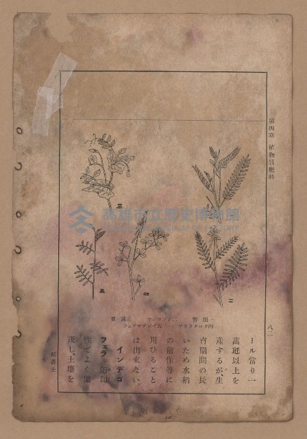 《補習學校農業教科書土壤肥料篇》藏品圖，第89張