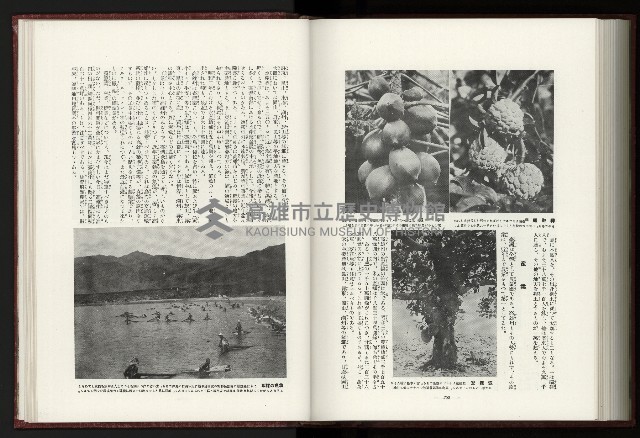 《日本地理風俗大系-  第十五卷 臺灣篇》藏品圖，第199張