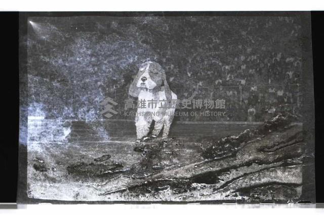 登錄號:KH2002.017.0338藏品圖，第48張