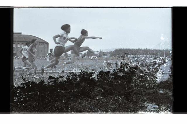 登錄號:KH2002.014.0116藏品圖，第49張