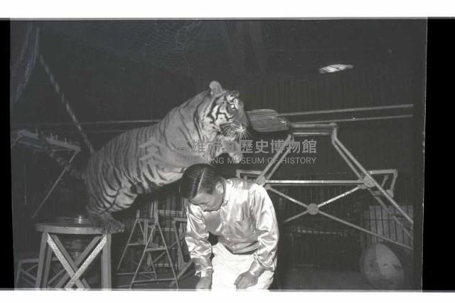 登錄號:KH2002.017.0161藏品圖，第49張