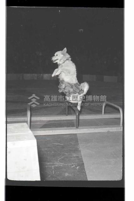 登錄號:KH2002.017.0161藏品圖，第79張