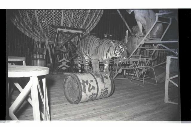 登錄號:KH2002.017.0161藏品圖，第59張