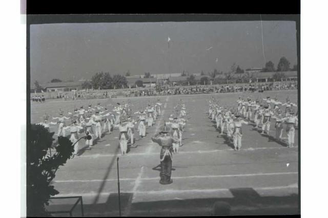 登錄號:KH2002.007.0300藏品圖，第19張