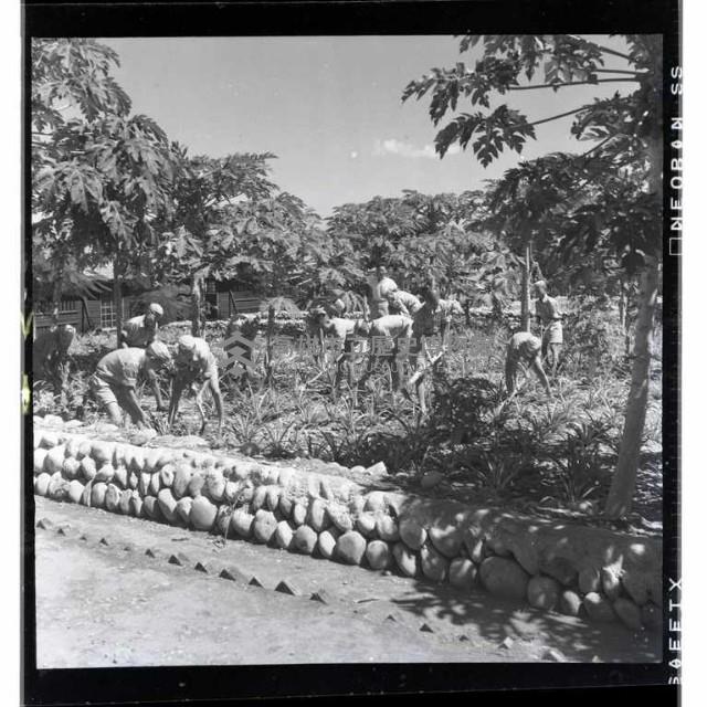 登錄號:KH2002.007.0152藏品圖，第19張